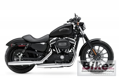 2013 Harley-Davidson Sportster Iron 833 photo